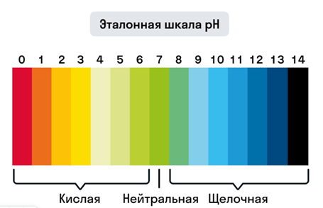 эталон.png эталон.png